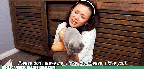 funny-animal-gifs-why-wont-you-accept-my-love.gif